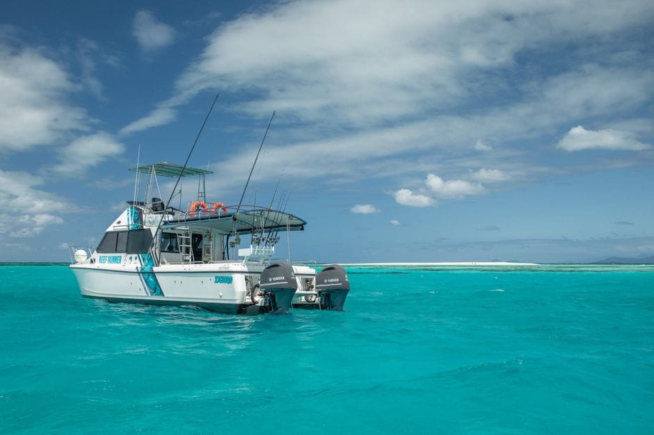 Top Englewood Fishing Charters for 2026: Catch the Gulf’s Best